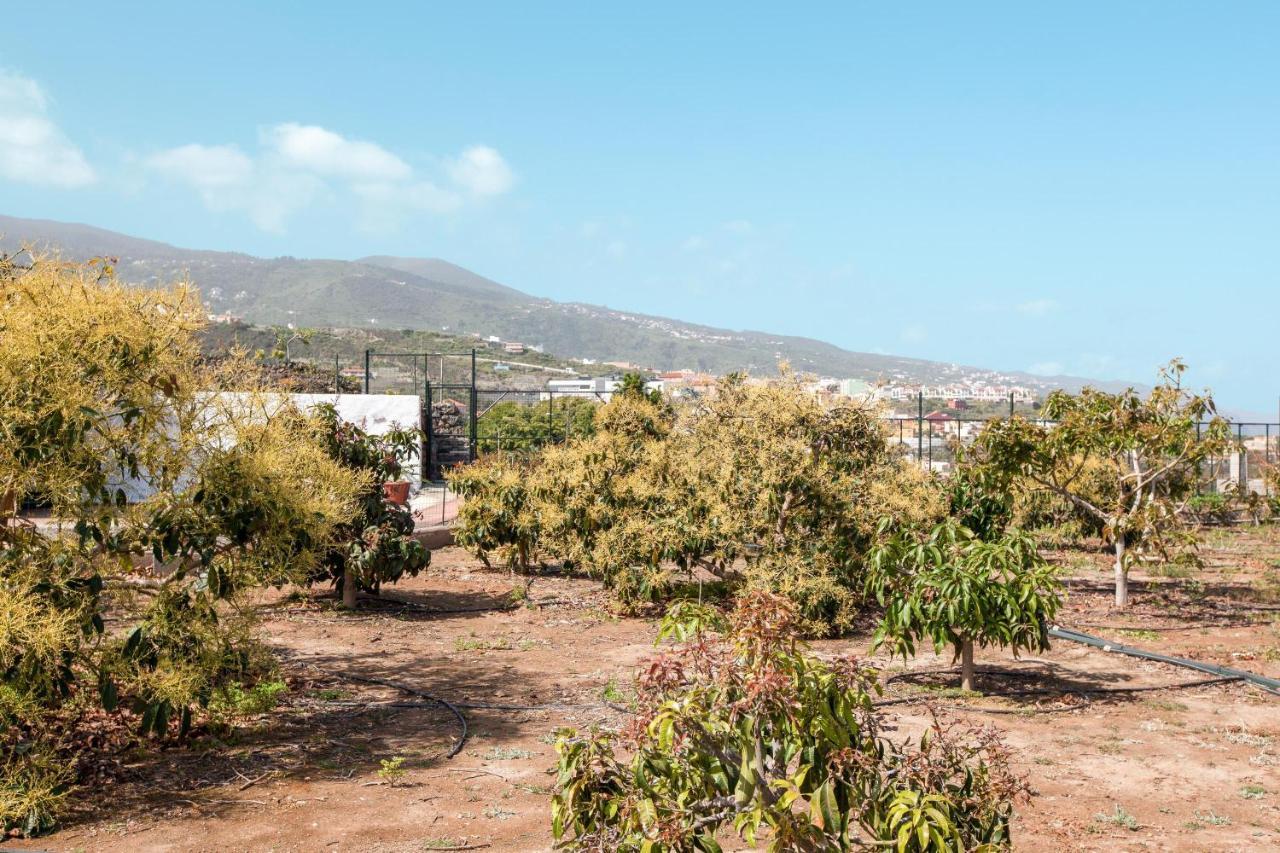 Casa Quemahierro 1 Villa Icod de los Vinos Kültér fotó